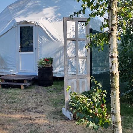 У Дачі Для Своїх Guest House Novyye Bezradichi Exterior photo